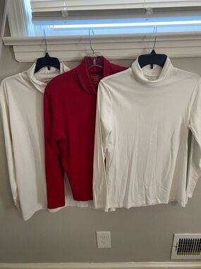 7 Turtle and Mock Neck Top Bundle
